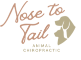 nosetotailchiro